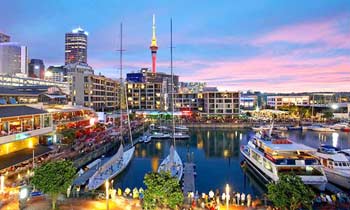 Investment in New Zealand
