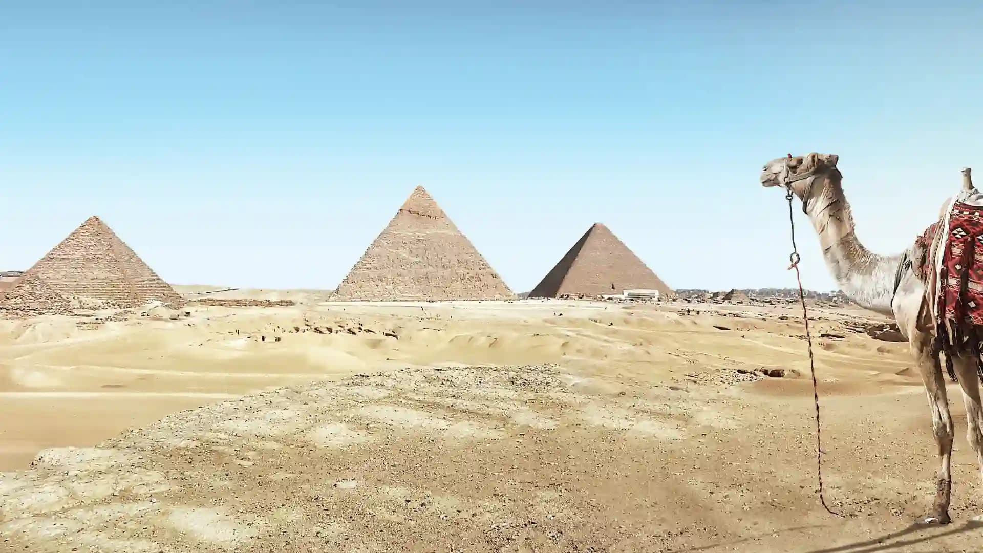 Real Estate Investment – Egypt Citizenship by Investment