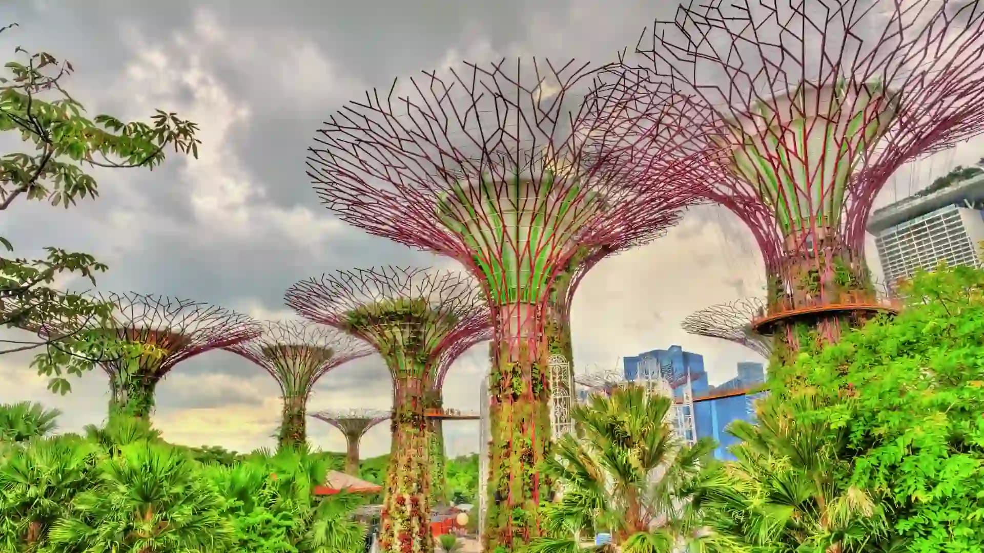 Singapore Global Investor Programme – RBI