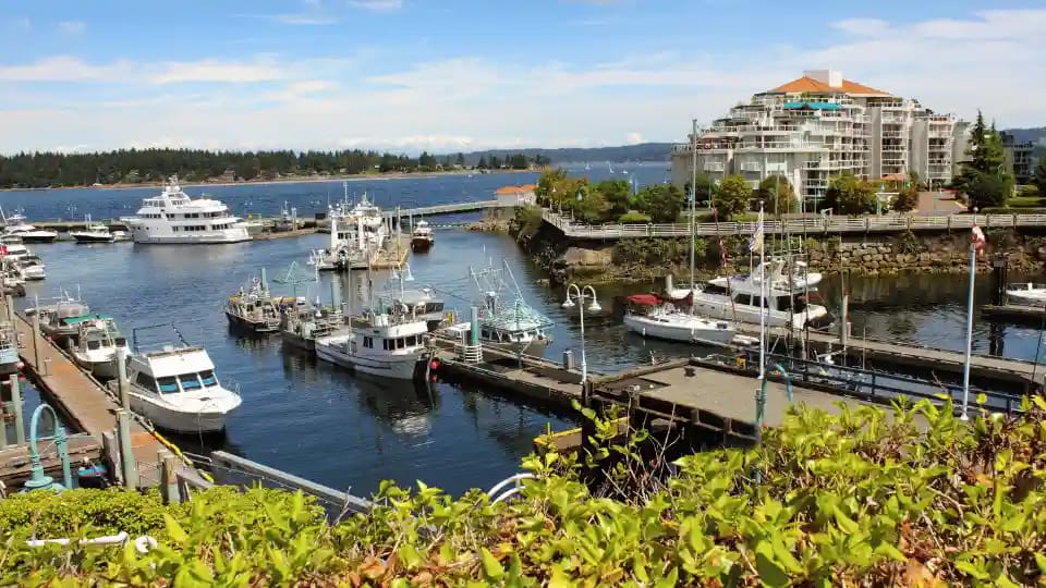 Employment Opportunities Rise in British Columbia and Newfoundland