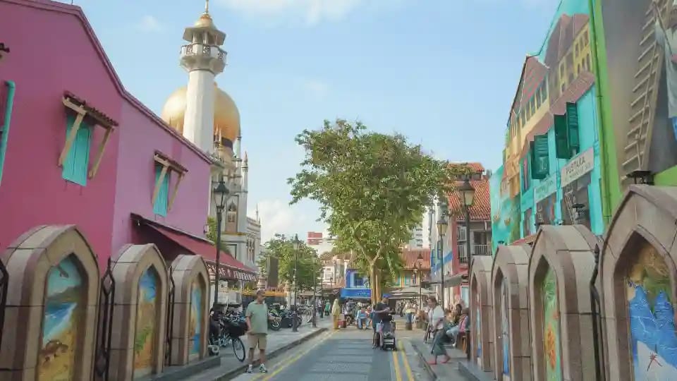 skilled migration programs and process across Canada Australia UK and New Zealand