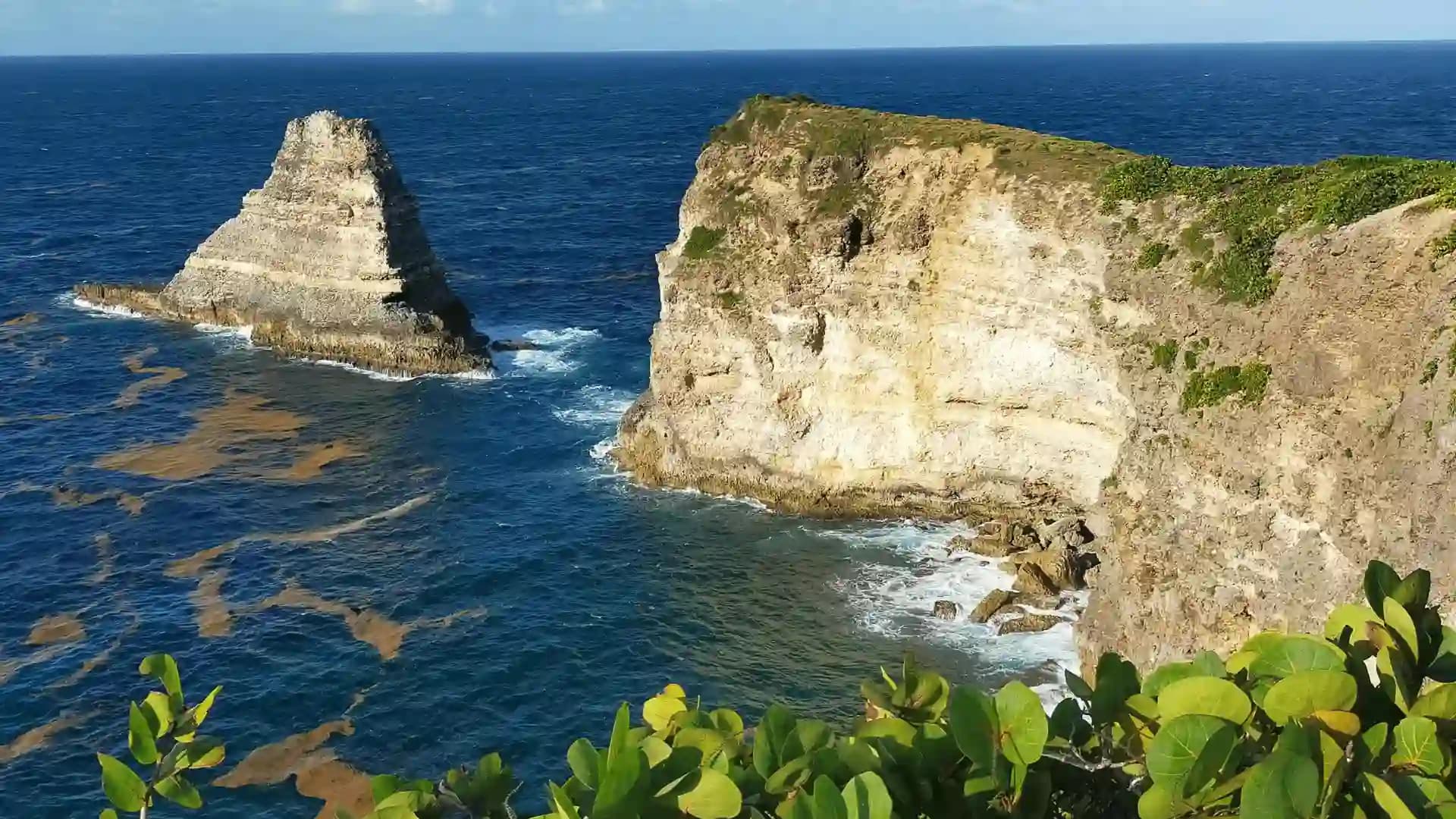 Dominica Citizenship by Investment – EDF Contribution