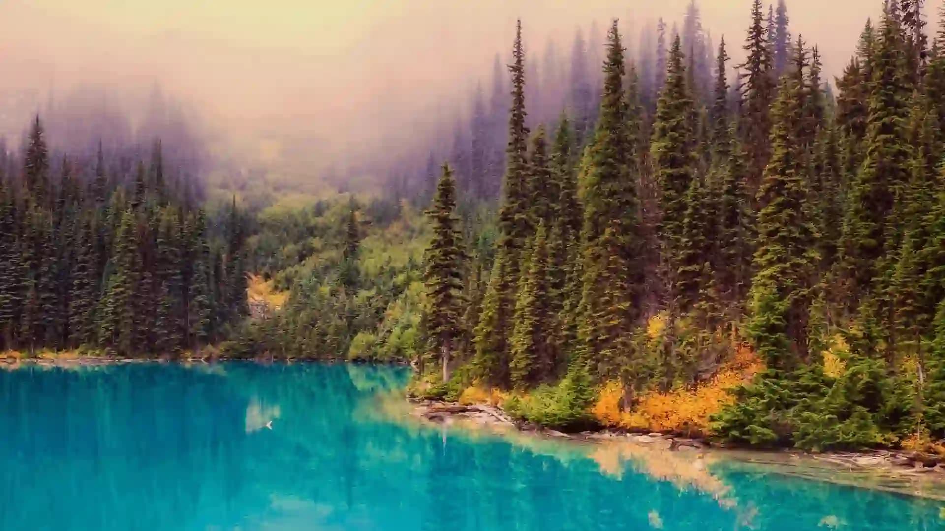 Newfoundland & Labrador Entrepreneur Stream – Business Immigration