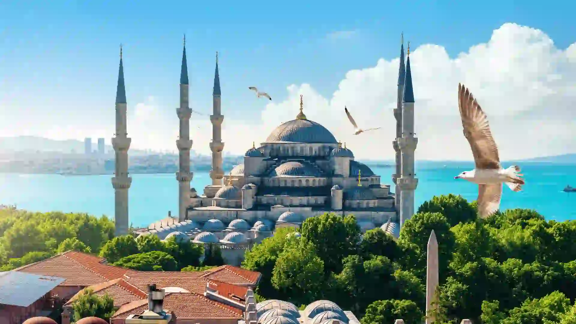 Fund Investment – Turkey Citizenship by Investment thumbnail