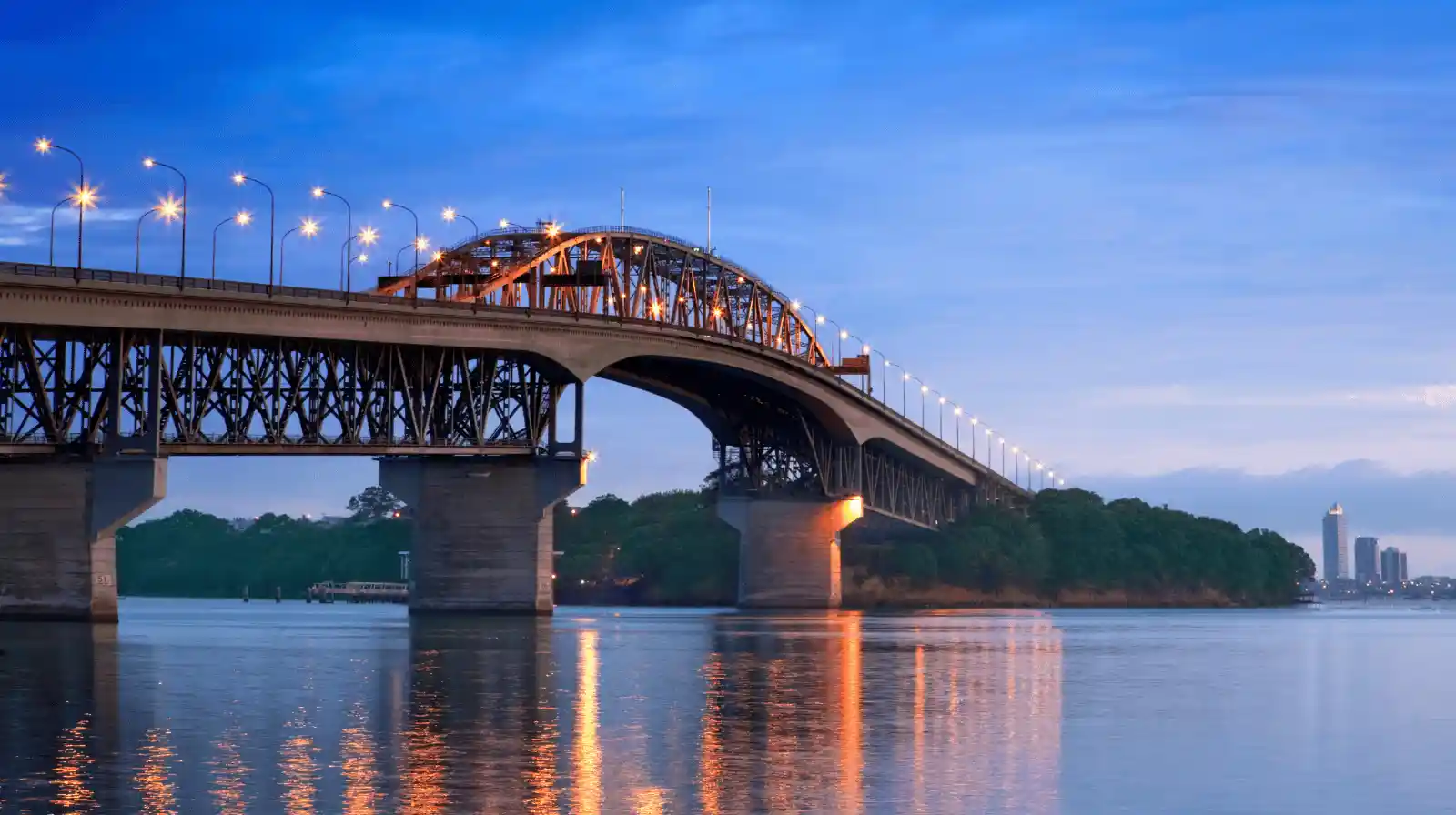 New Zealand RBI - Active Investor Plus Growth Category — New Zealand residency program